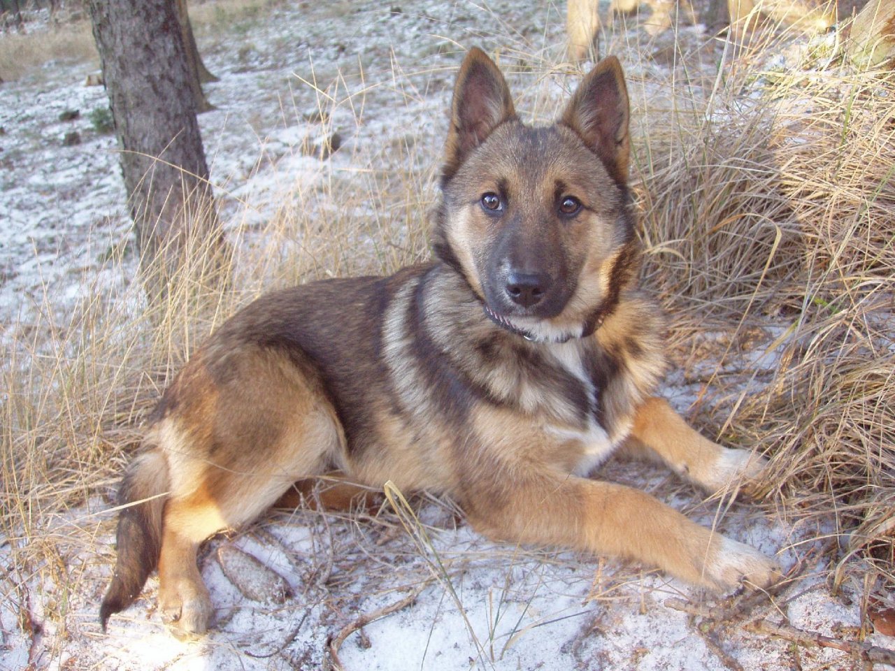 Foto: Ketty na vych�zce