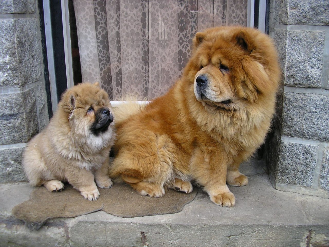 Foto: d�vej pozor, nau��m t� hl�dat