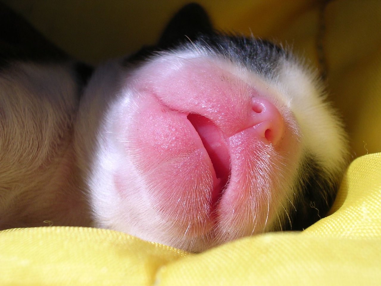 Foto: �t���tko B�ra