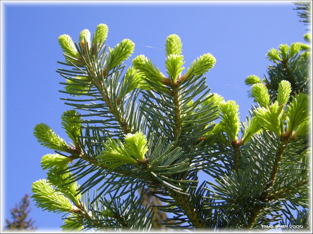 Foto: Probouzen� po zimn�m sp�nku