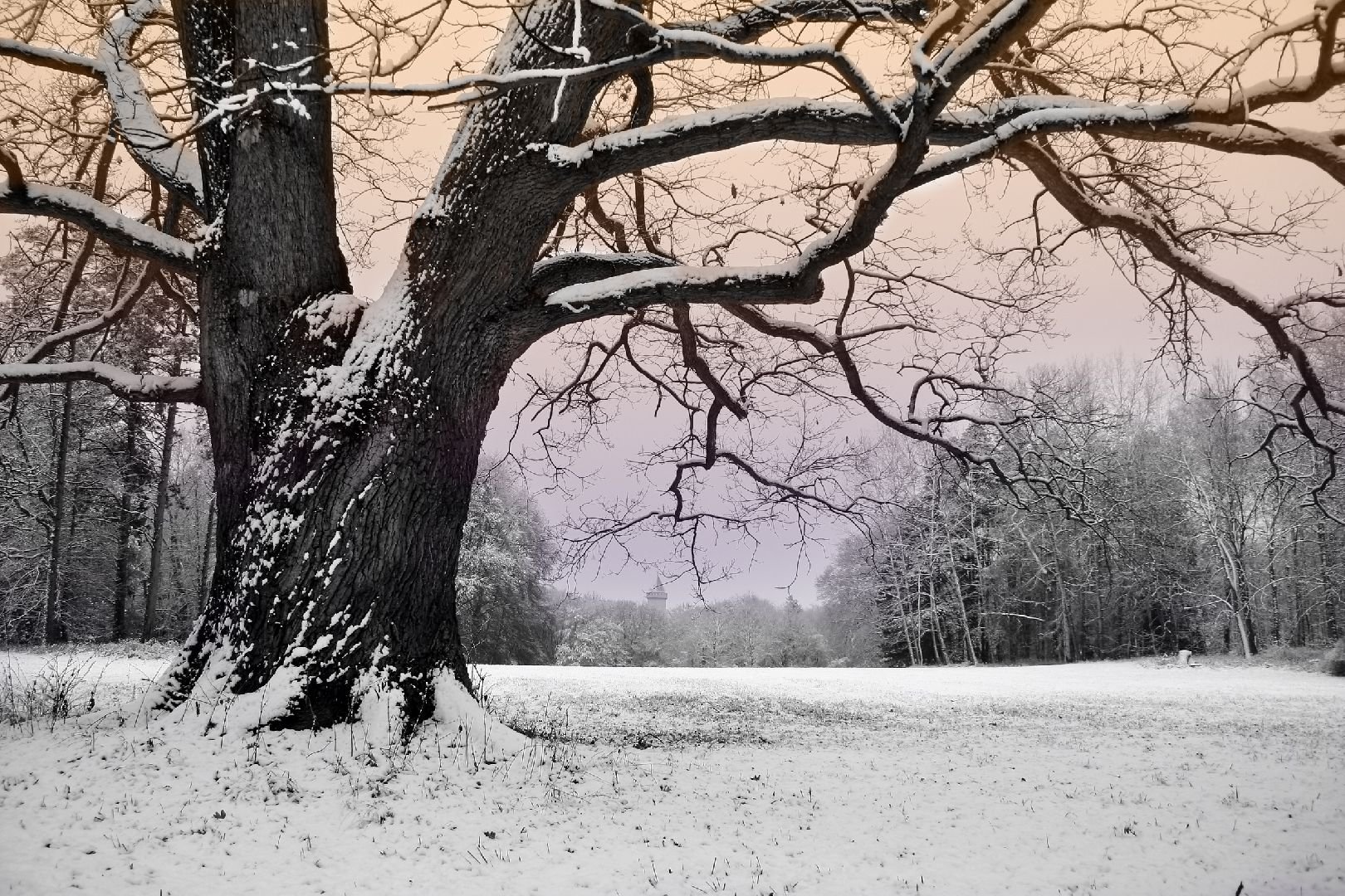 Foto: Na Svat�ho Martina