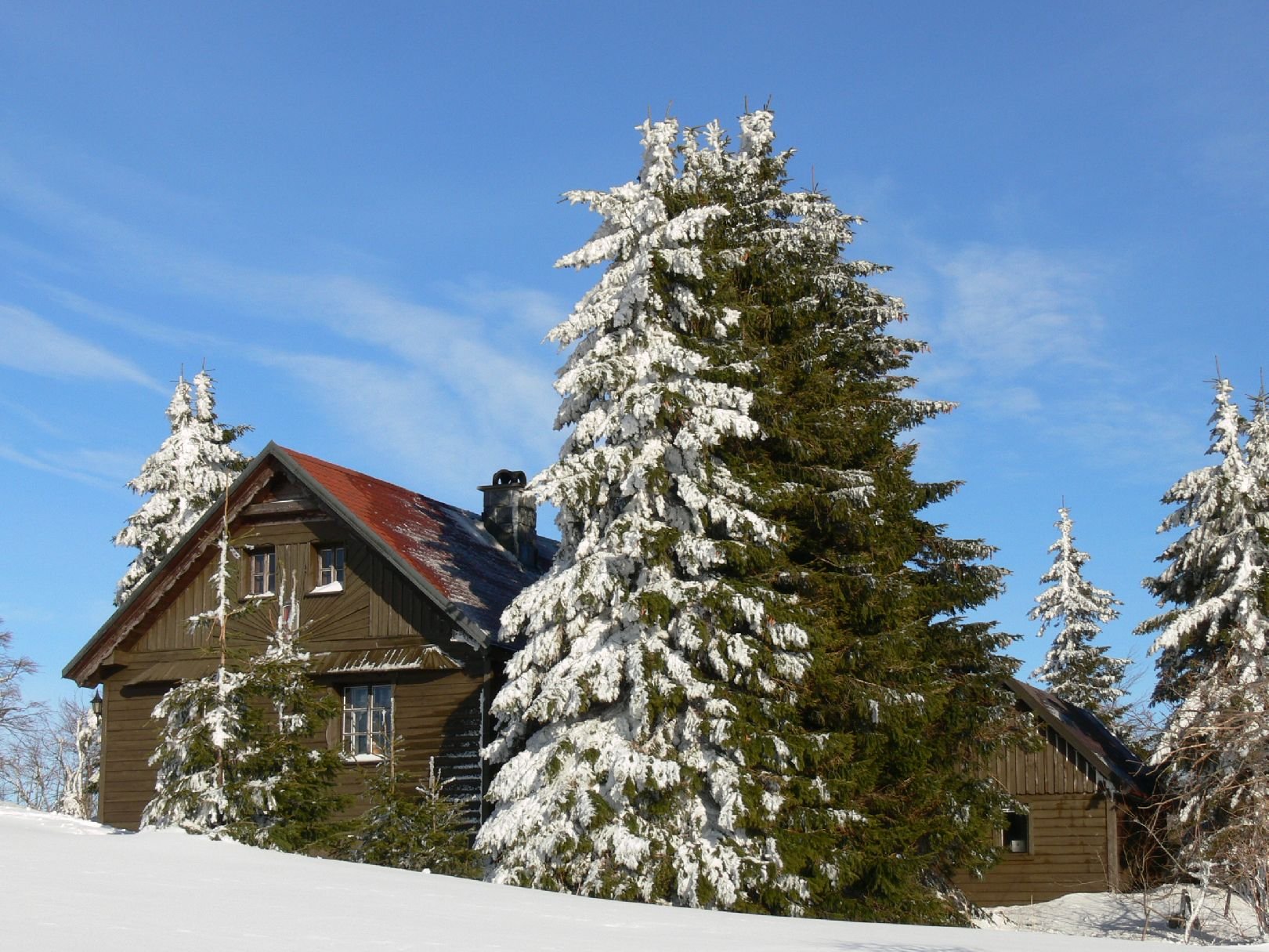 Foto: De�tn� v Orlick�ch hor�ch