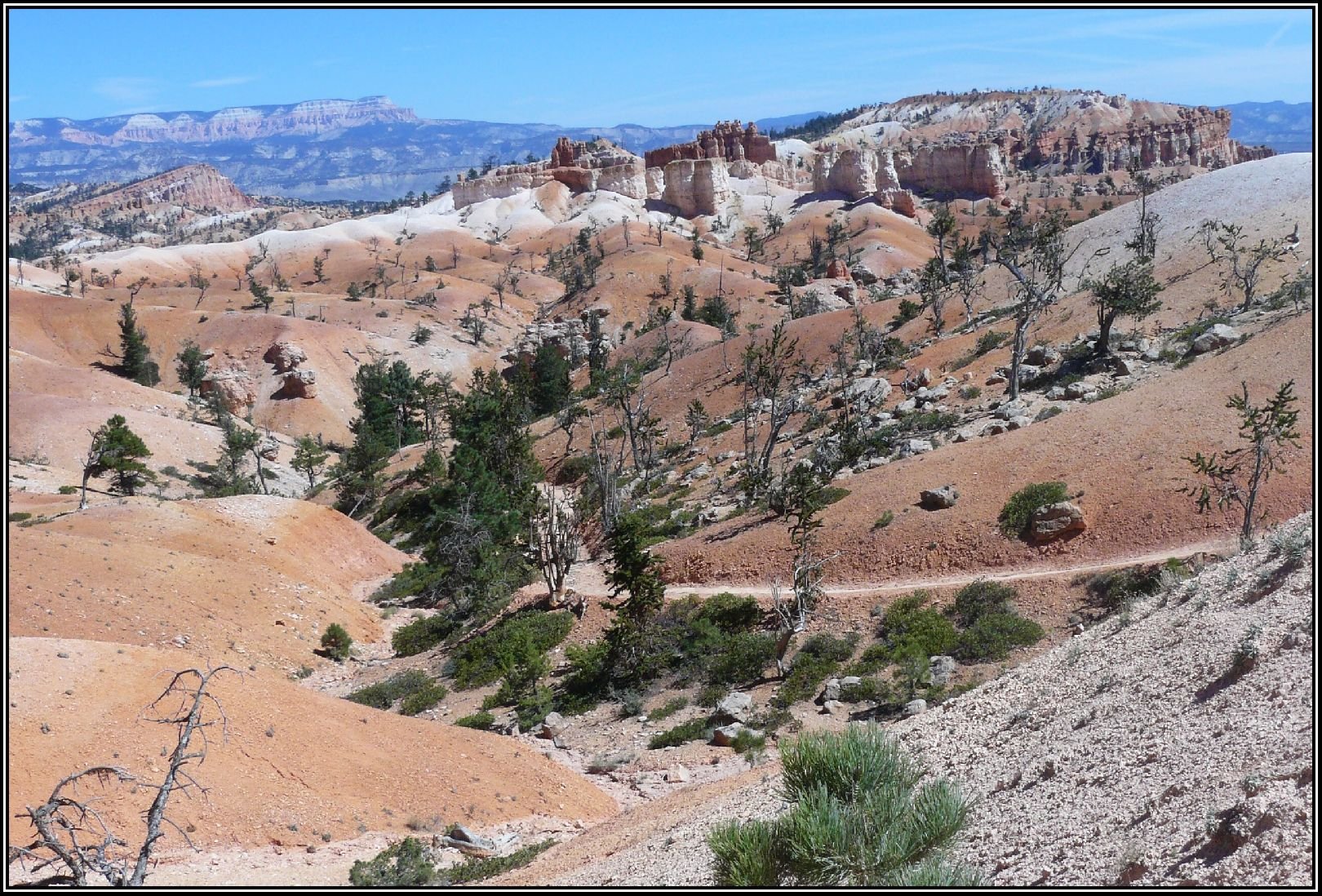 Foto: Zaj�mav� p��roda.