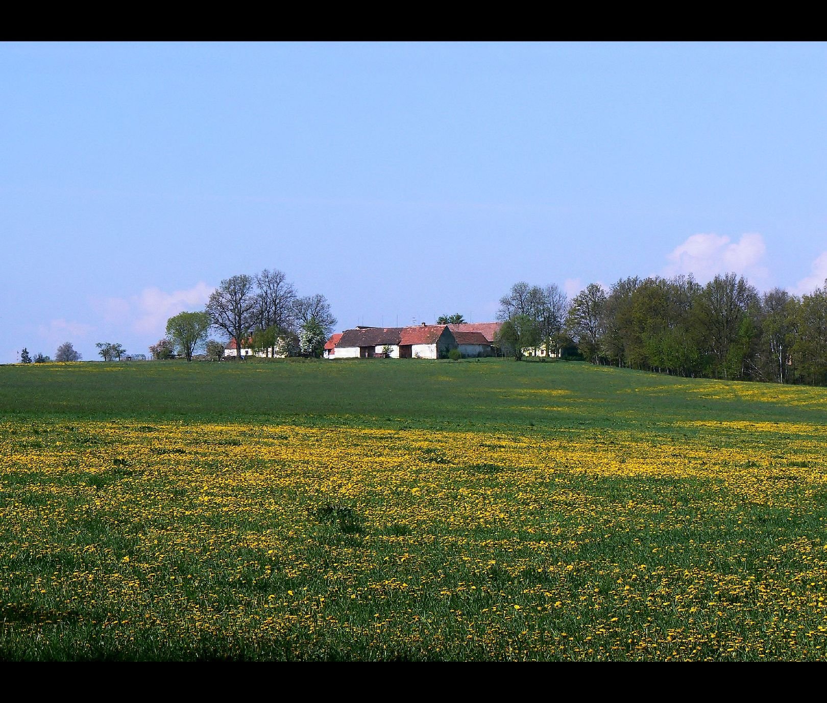 Foto: ji�n� �echy