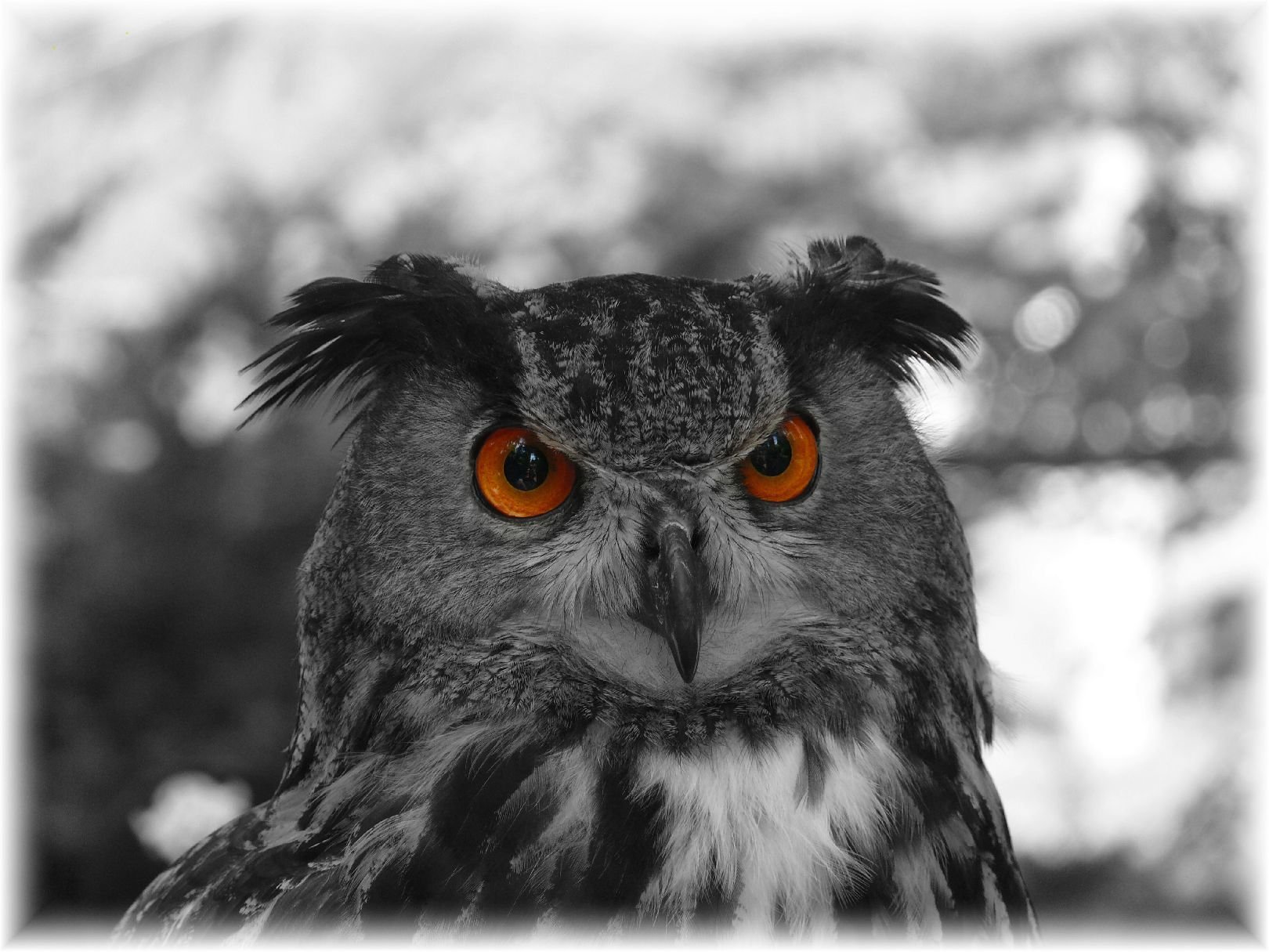 Foto: kouk�m jako vejr