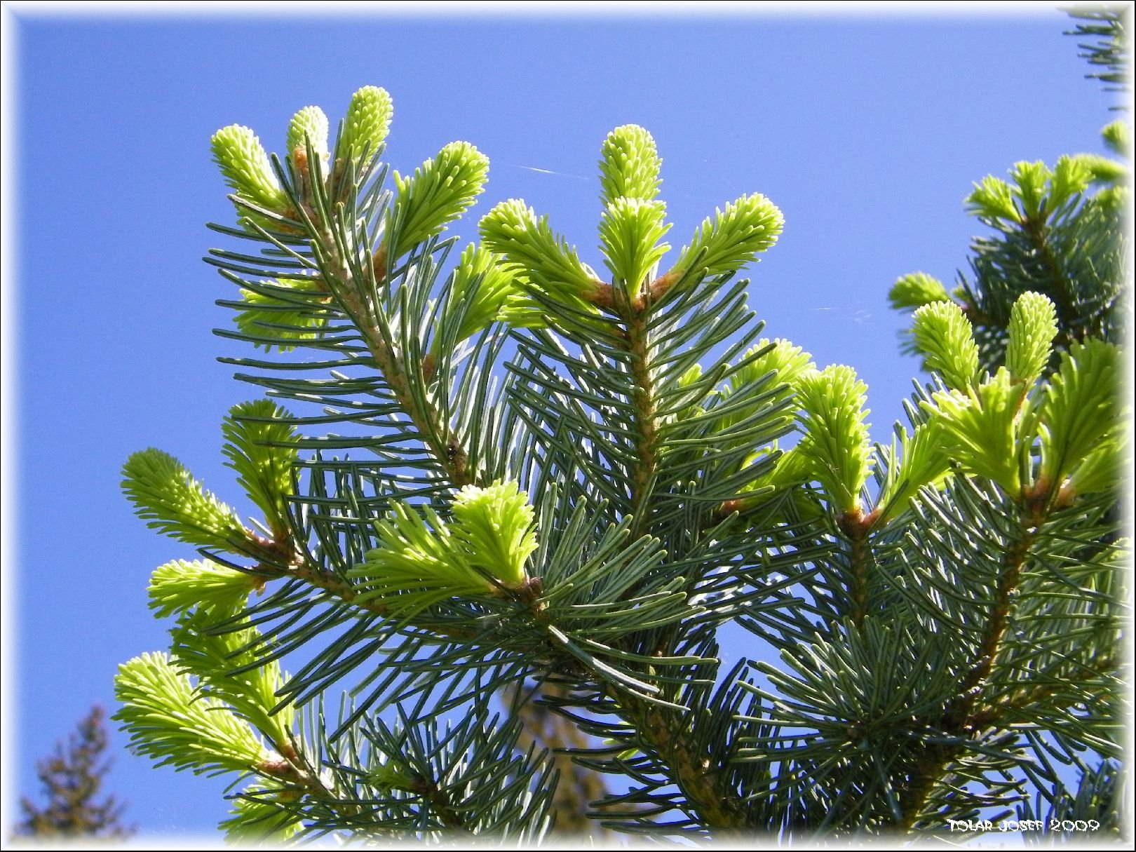 Foto: Probouzen� po zimn�m sp�nku