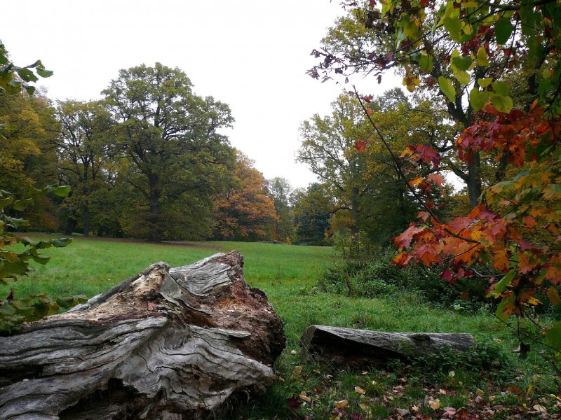 Foto: Vzpom�nka na podzim