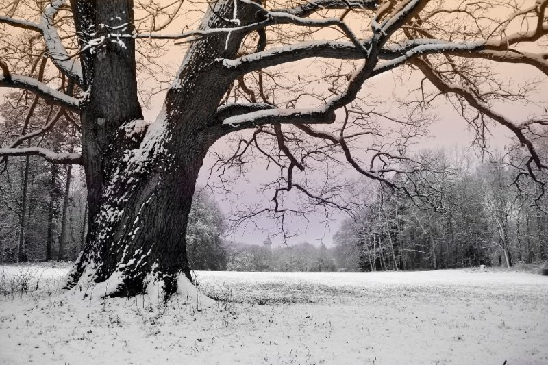 Foto: Na Svat�ho Martina