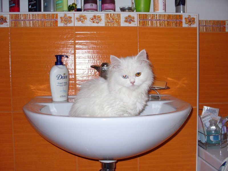 Foto: hygiena je z�klad