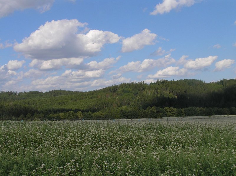 Foto: Vzpom�nka na l�to!