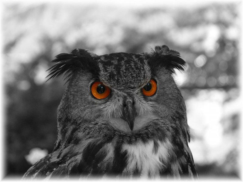 Foto: kouk�m jako vejr