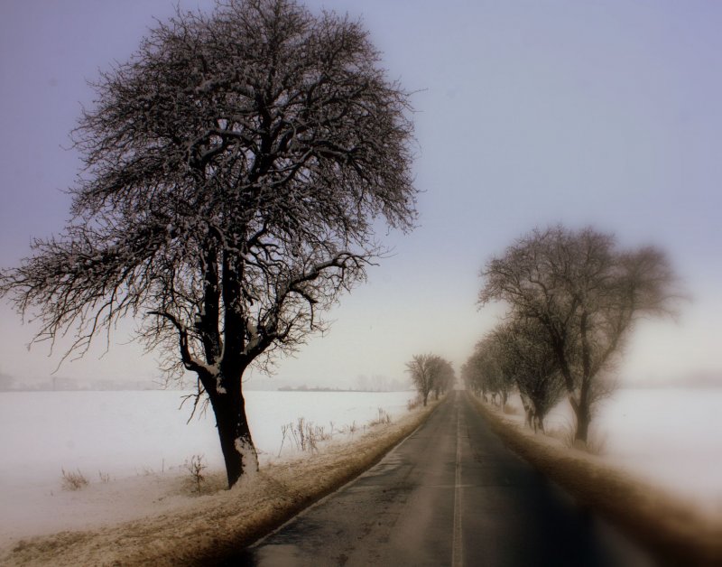 Foto: Silnice na Nem�lkov