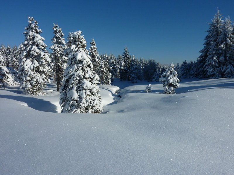 Foto: posledn� z�chv�v zimy 2