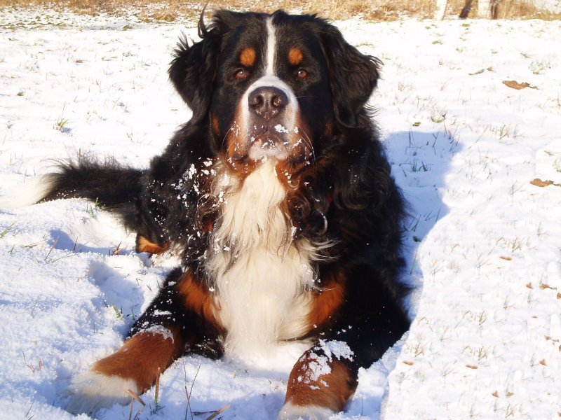 Foto: sn�hov� pohodi�ka