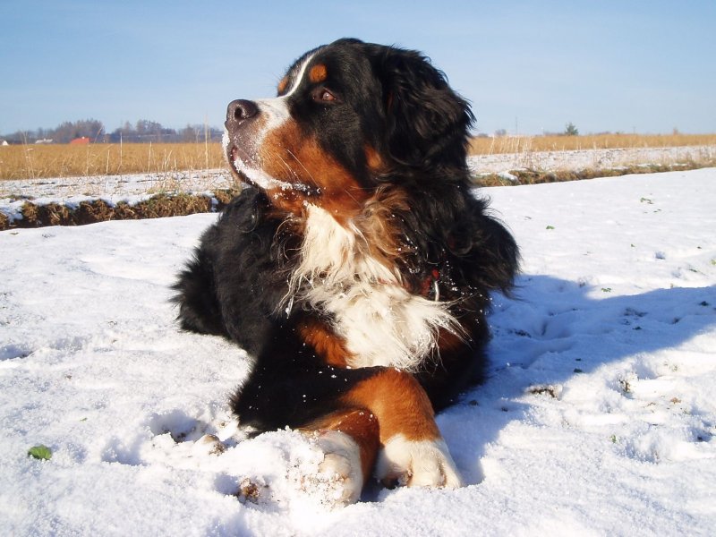 Foto: Zimn� pohodi�ka