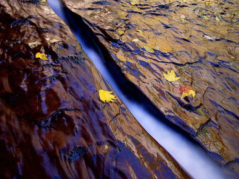 Foto: Watercut Rock And Fall Reflections, Zion, Utah