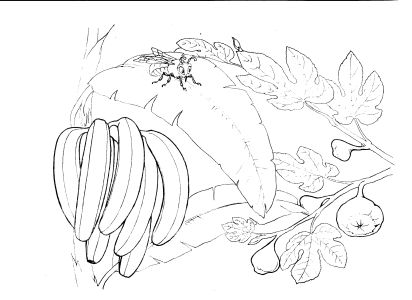 Omalov�nky k vytisknut�