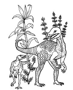 Omalov�nky k vytisknut�