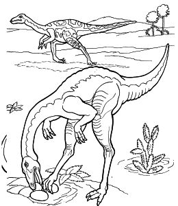 Omalov�nky k vytisknut�