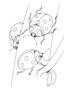 Omalov�nky k vytisknut�