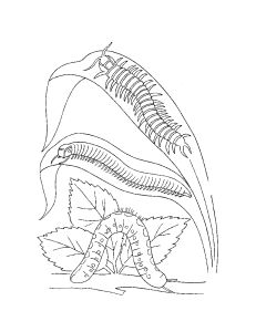Omalov�nky k vytisknut�