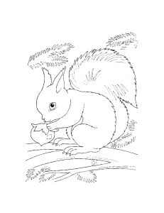 Omalov�nky k vytisknut�