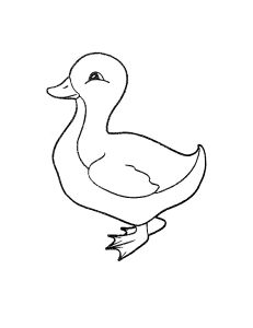 Omalov�nky k vytisknut�