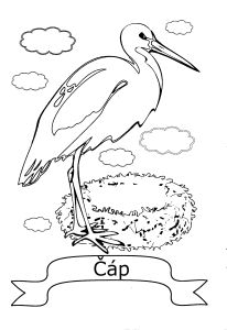 Omalov�nky k vytisknut�