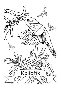 Omalov�nky k vytisknut�