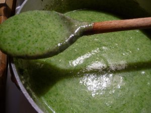 Recept online: Jemn� petr�elov� pol�vka: Jemn� petr�elov� mixovan� pol�vka s kari a smetanou