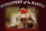 Chovatelska stanice ps�: MONASTERY OF LA RABIDA