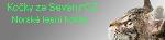 Chovatelska stanice ps�: KO�KY ZE SEVERU