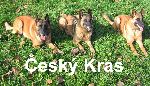 Chovatelska stanice ps�: �ESK� KRAS