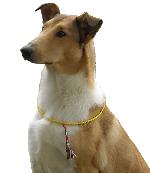 Chovatelska stanice ps�: MOYAMO MAE