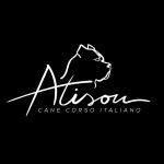 Chovatelska stanice ps�: ATISON