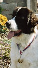 Chovatelska stanice ps�: Z OTMAROVA