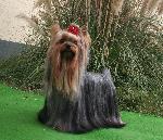 Chovatelska stanice ps�: FUN VON ERNEST