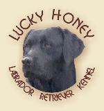 Chovatelska stanice ps�: LUCKY HONEY