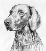 Chovatelska stanice ps�: PREPZ