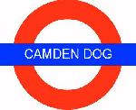 Chovatelska stanice ps�: CAMDEN DOG