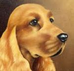 Chovatelska stanice ps�: Z BOROV� SAMOTY