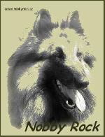 Chovatelska stanice ps�: NOBBY ROCK