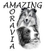 Chovatelska stanice ps�: AMAZING MORAVIA