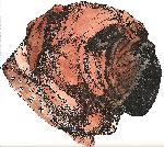 Chovatelska stanice ps�: BAURYDY - KOR�N