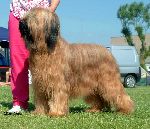 Chovatelska stanice ps�: BADRIA�S DARLING