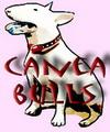 Chovatelska stanice ps�: CANEA BULLS