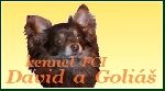 Chovatelska stanice ps�: DAVID A GOLI��
