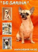 Chovatelska stanice ps�: DE SARINA