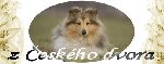 Chovatelska stanice ps�: Z �ESK�HO DVORA