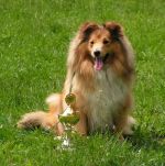 Chovatelska stanice ps�: LENFIR